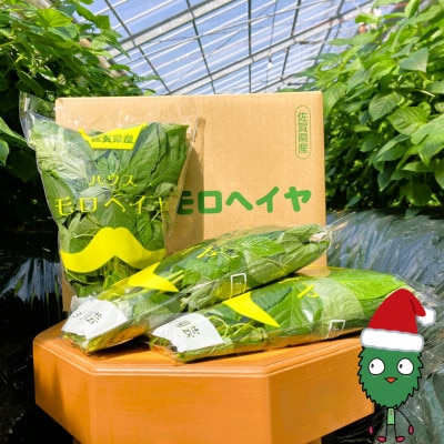 佐賀県産　冬穫れハウスモロヘイヤ　1kg(100g×10袋)