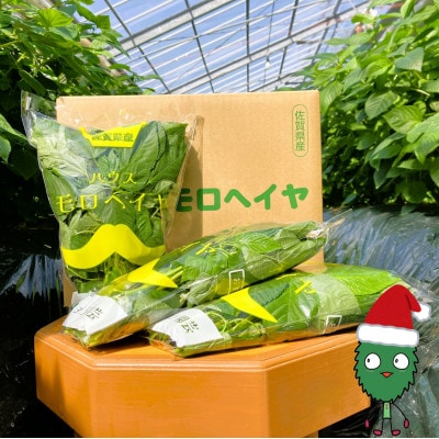 佐賀県産　冬穫れハウスモロヘイヤ　2kg(100g×10袋×2箱)