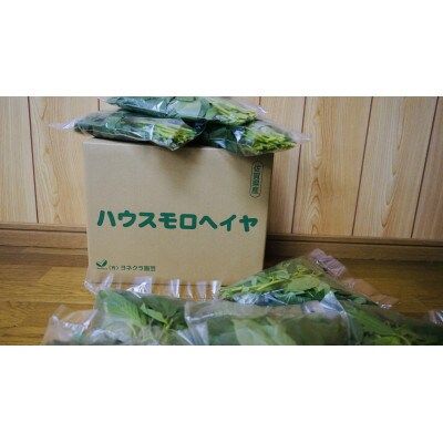 佐賀県産　冬穫れハウスモロヘイヤ　3kg(100g×10袋×3箱)