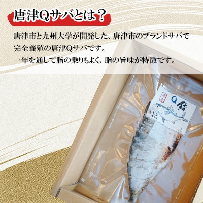 あぶりちゃん(唐津Qサバ〆さば炙り) 片身 約110g