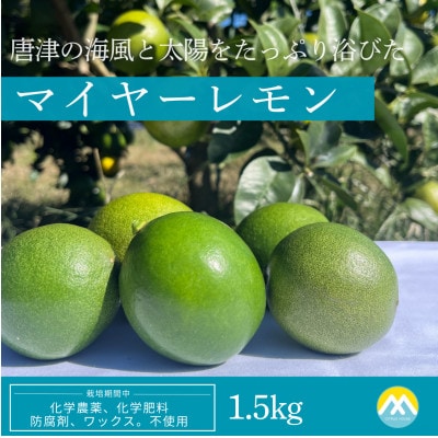 マイヤーレモン