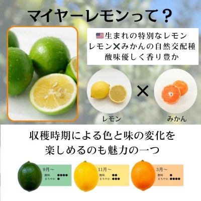 マイヤーレモン