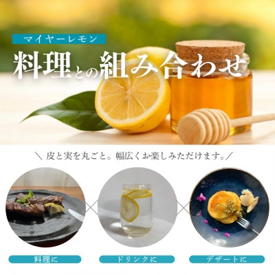 マイヤーレモン