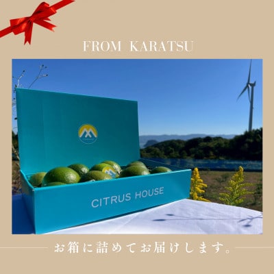 マイヤーレモン