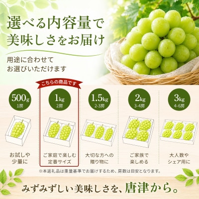 【濃厚芳醇】シャインマスカット 1kg 佐賀県唐津産　2026年9月より順次発送/先行受付