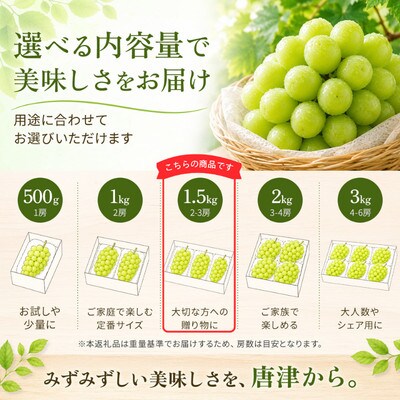【濃厚芳醇】シャインマスカット1.5kg佐賀県唐津産 2026年8月より順次発送/先行受付