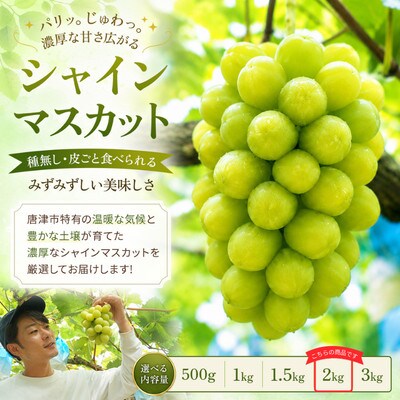 【濃厚芳醇】シャインマスカット 2kg 佐賀県唐津産　2026年9月より順次発送/先行受付