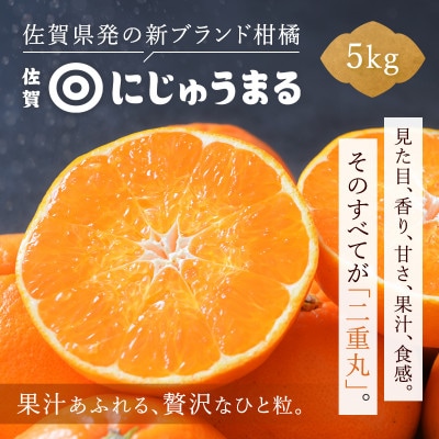 にじゅうまる 5kg_[先行予約 2027年3月出荷予定] 佐賀県産【高級柑橘みかん】
