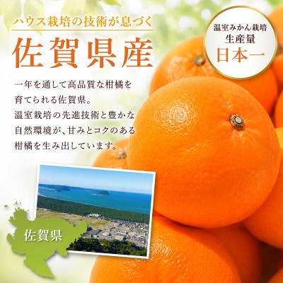 にじゅうまる 5kg_[先行予約 2027年3月出荷予定] 佐賀県産【高級柑橘みかん】