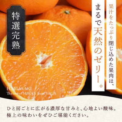 【特選甘熟みかん】はまさき 5kg 佐賀県産
