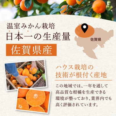 【特選甘熟みかん】はまさき 5kg 佐賀県産