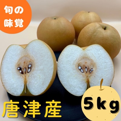 【先行受付・2026年7月より順次発送】【旬の味覚】梨 5kg