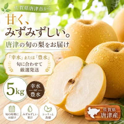【先行受付・2026年7月より順次発送】【旬の味覚】梨 5kg