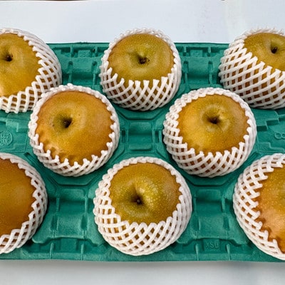 【先行受付・2026年7月より順次発送】【旬の味覚】梨 5kg