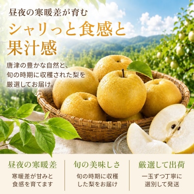 【先行受付・2026年7月より順次発送】【旬の味覚】梨 5kg