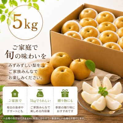 【先行受付・2026年7月より順次発送】【旬の味覚】梨 5kg