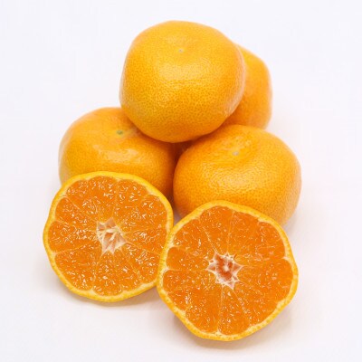 【全国生産量1位】佐賀県産 ハウスみかん 5kg【2026年7月より順次発送予定】