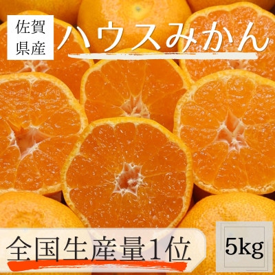 【全国生産量1位】佐賀県産 ハウスみかん 5kg【2026年7月より順次発送予定】