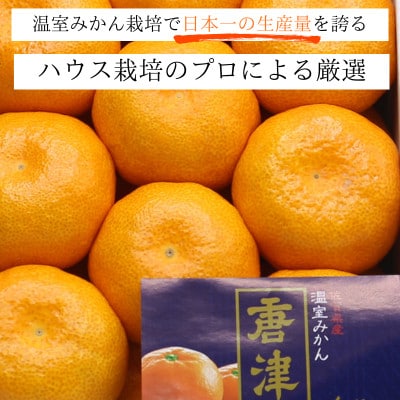 【全国生産量1位】佐賀県産 ハウスみかん 5kg【2026年7月より順次発送予定】