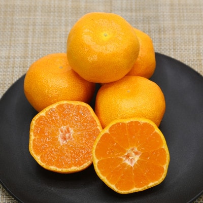 【全国生産量1位】佐賀県産 ハウスみかん 5kg【2026年7月より順次発送予定】