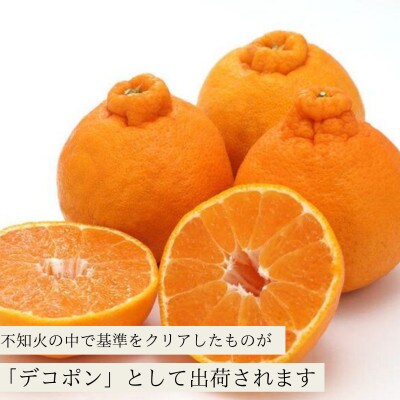 デコポン 不知火 5kg 佐賀県産 先行受付【2027年1月より出荷予定】