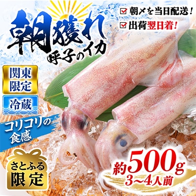 【関東限定】鮮度抜群!呼子の朝獲れイカ 約500g(3～4人前)【さとふる限定】