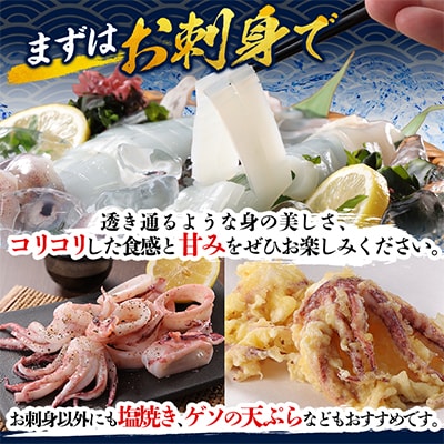 【関東限定】鮮度抜群!呼子の朝獲れイカ 約1kg(6～7人前)【さとふる限定】