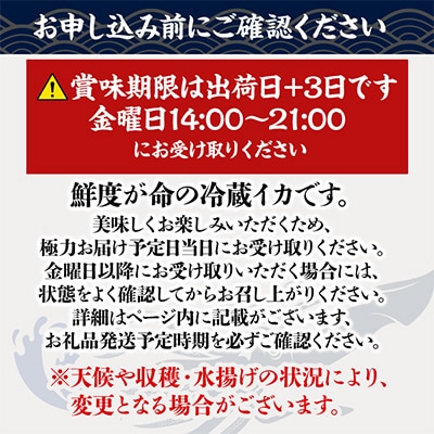 【関東限定】鮮度抜群!呼子の朝獲れイカ 約500g(3～4人前)【さとふる限定】