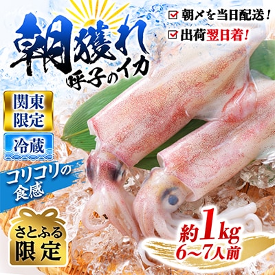 【関東限定】鮮度抜群!呼子の朝獲れイカ 約1kg(6～7人前)【さとふる限定】