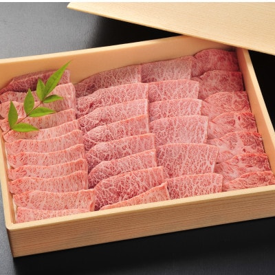 希少部位　佐賀牛ミスジ焼肉 約500g(唐津市)