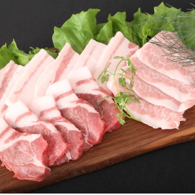 ブランド豚【肥前さくらポーク】食べ比べセット約2.5kg(唐津市)