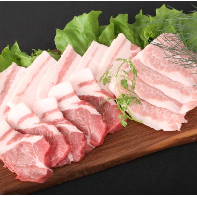 ブランド豚【肥前さくらポーク】焼肉セット 1kg(唐津市)