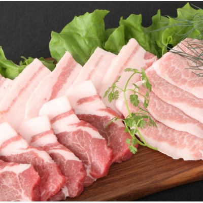 ブランド豚【肥前さくらポーク】焼肉セット 1kg(唐津市)