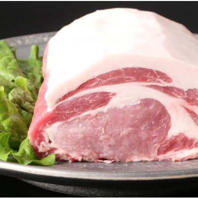 ブランド豚【肥前さくらポーク】ヒレ&ロースセット 約500g(唐津市)