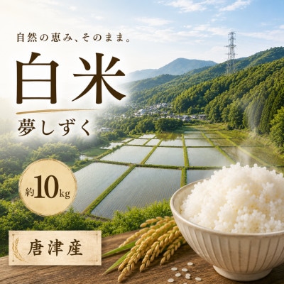 佐賀県唐津市産 夢しずく(白米) 約10kg