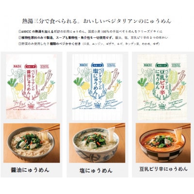 【ギフト】ベジタリアンのにゅうめん9食ギフト　VT-9