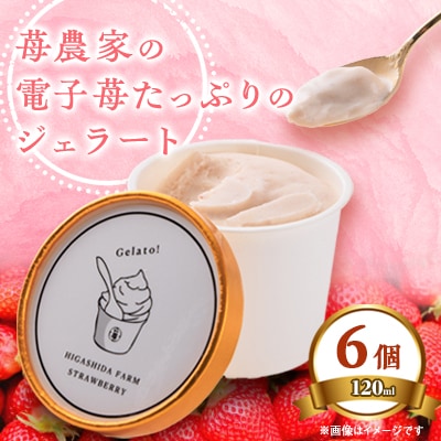苺農家の電子苺たっぷりのジェラート　6個入り