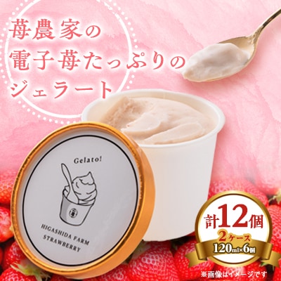 苺農家の電子苺たっぷりのジェラート　12個(6個入り2ケース)