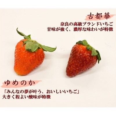 赤のコラボ「古都華」と「ゆめのか」(それぞれ9粒～11粒)