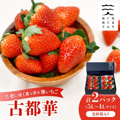 古都に咲く真っ赤な華いちご「古都華」(270g以上/5L～4Lサイズ/6～8粒)×2P　化粧箱入り