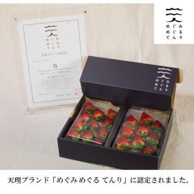古都に咲く真っ赤な華いちご「古都華」(270g以上/3L～2Lサイズ/9～11粒)×2P　化粧箱入り