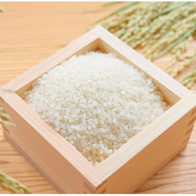 【令和7年10月中旬以降発送】ひのひかり(奈良県天理産)精米5㎏【令和7年産】(一等米)