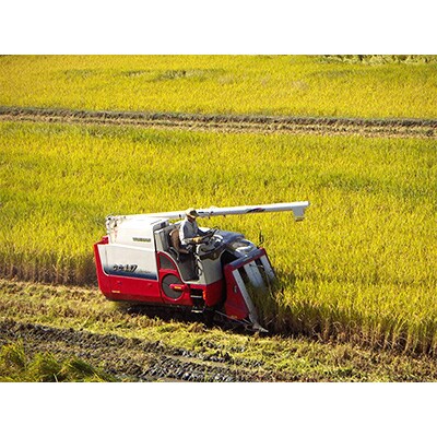 【毎月定期便】ひのひかり精米10kg(一等米)全4回