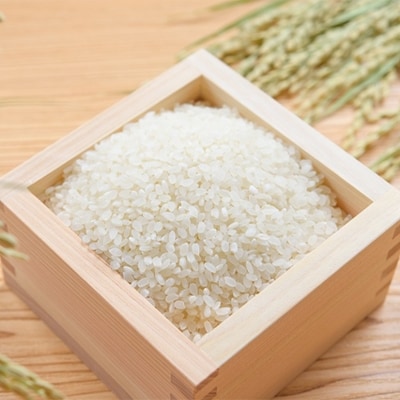 2022年4月発送開始『定期便』ひのひかり(奈良県天理産)精米10kg【令和3年産】一等米　全4回