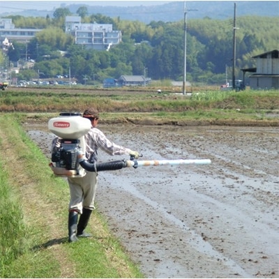 2022年4月発送開始『定期便』ひのひかり(奈良県天理産)精米10kg【令和3年産】一等米　全4回