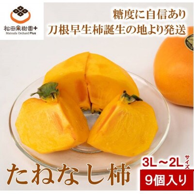 【R6年10月中下旬～11月の発送】種なし柿　3L2L～L　9個～11個