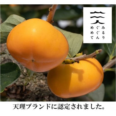 【R6年10月中下旬より発送】刀根早生柿発祥の地よりスーパーになかなか出回らないサイズ種なし柿　3L