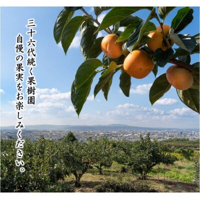 【R5年10月下旬～発送】種なし柿　L・2L　18～16個