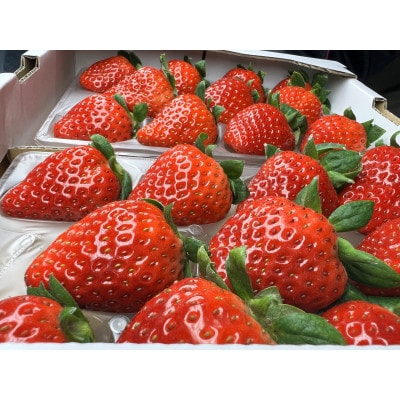 〈農家直送〉奈良県産いちご新品種【奈乃華(なのか)】2パック
