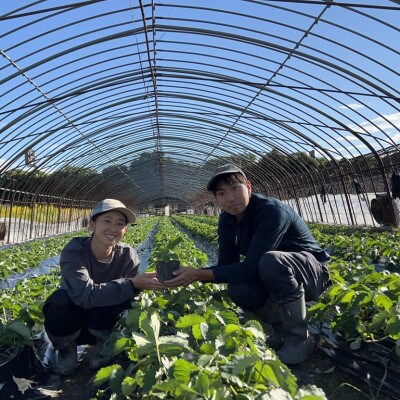 〈農家直送〉奈良県産いちご贅沢食べ比べセット【古都華(ことか)&奈乃華(なのか)】(各1パック)